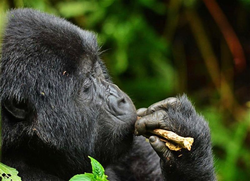 img 20210629 wa0018.jpg