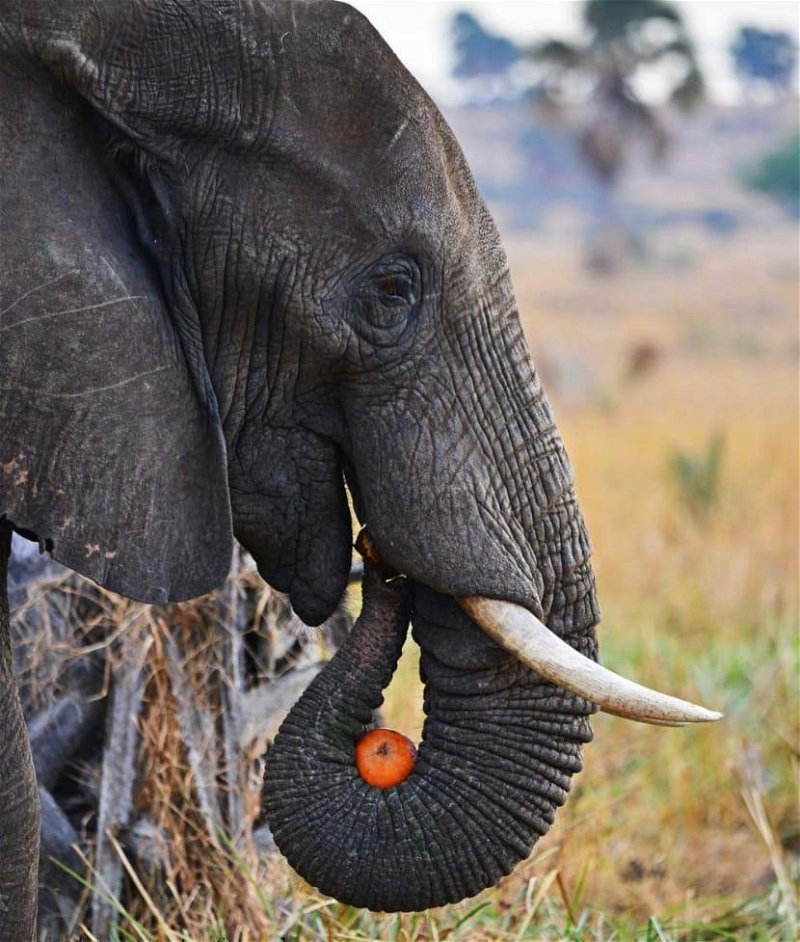 img 20210629 wa0039.jpg